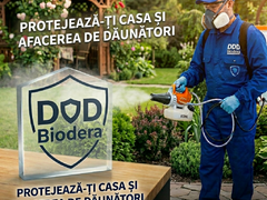 Servicii profesionale dezinsectie plosnite, gandaci, purici