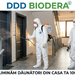 Servicii profesionale dezinsectie plosnite, gandaci, purici