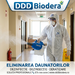 Servicii profesionale dezinsectie plosnite, gandaci, purici